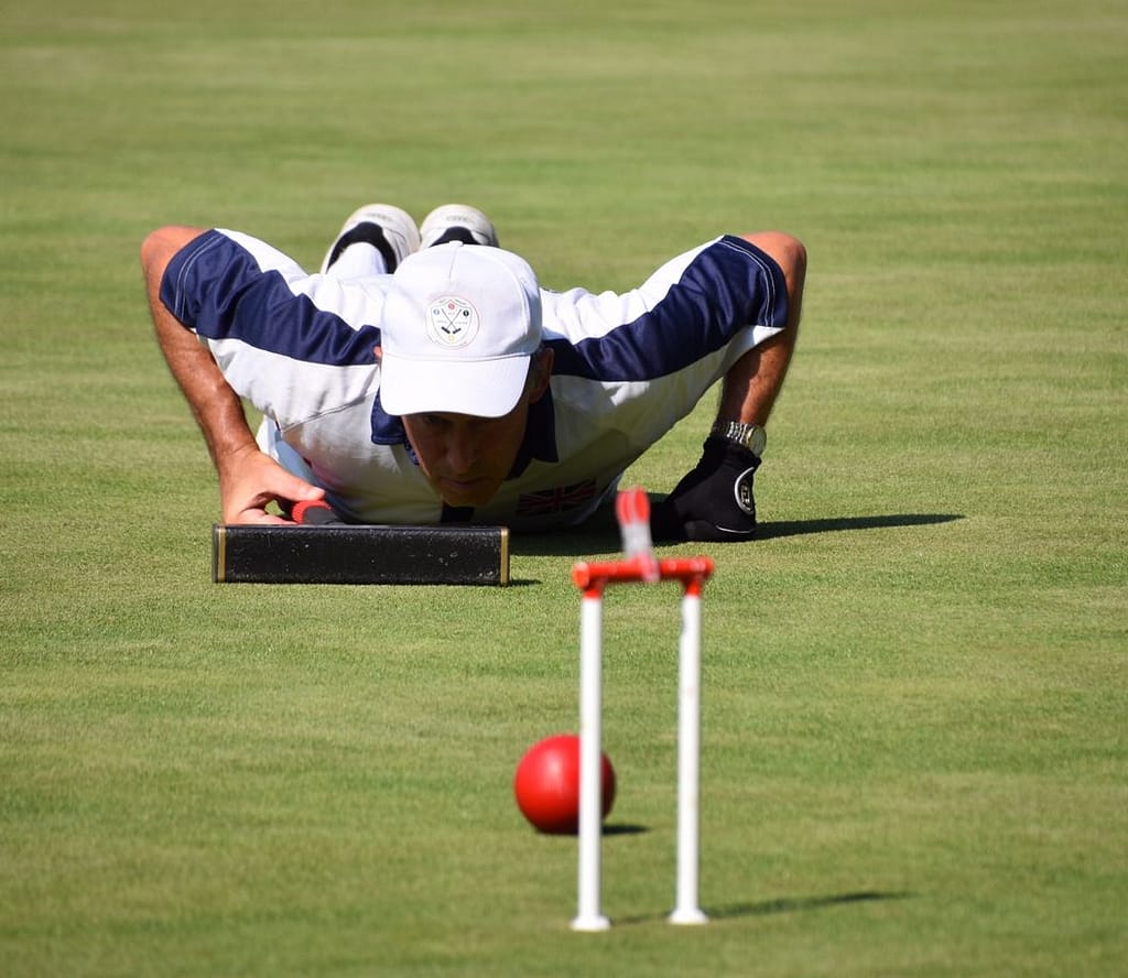 web-croquet-mulliner-on-the-ground